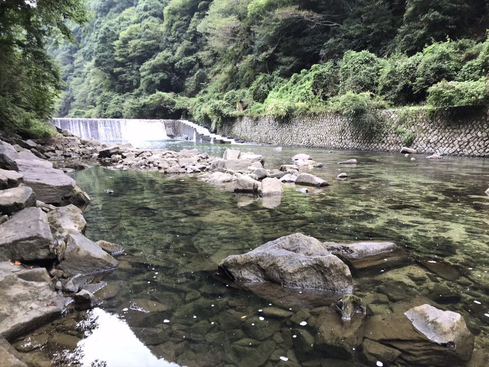 バス釣り 青蓮寺ダムおかっぱり釣行記 年9月18日