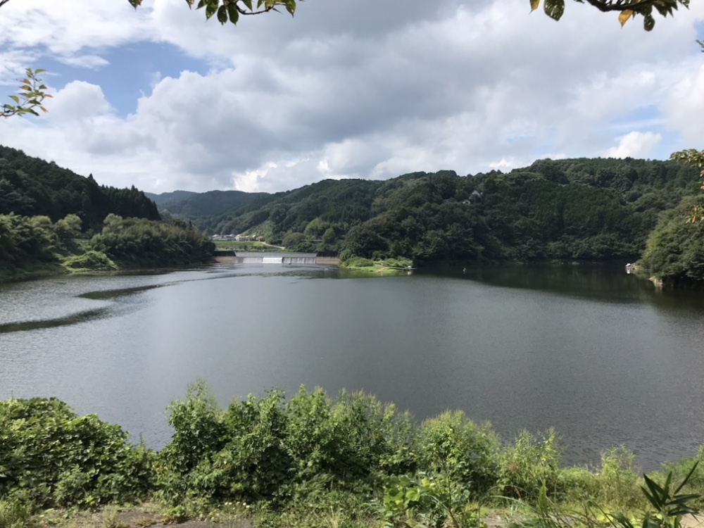 バス釣り 布目ダムおかっぱり釣行記 21年9月11日