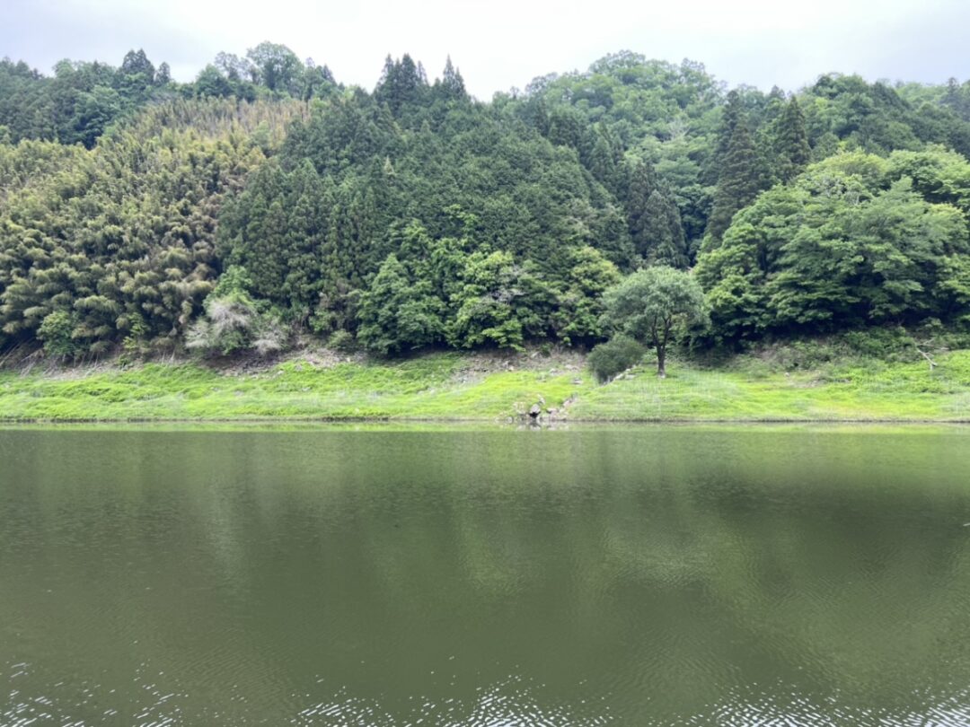 バス釣り 高山ダムおかっぱり釣行記 22年5月21日